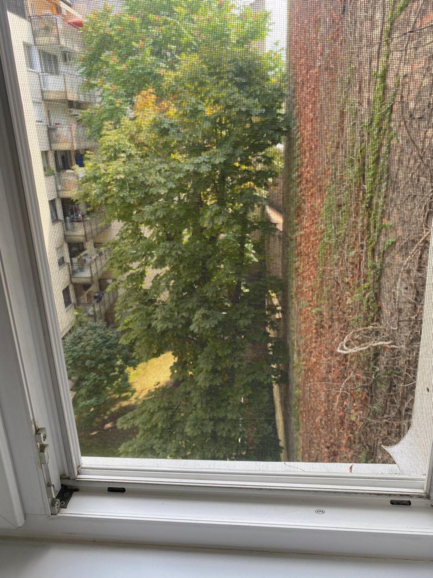 Budapest Oasis One Bedroom For Renting Εξωτερικό φωτογραφία